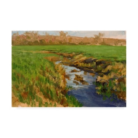 Michael Budden 'Spring Fields River' Canvas Art,30x47